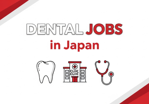 Professional Environment and Expectations